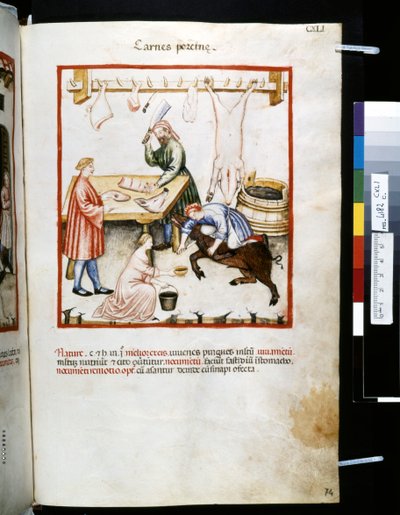 Theatrum sanitatis door Ububchasym de Baldach: 