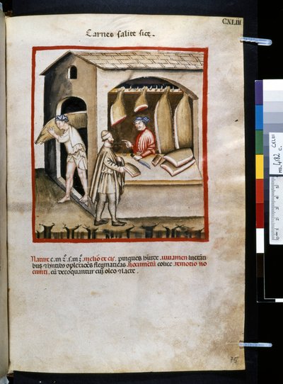 Theatrum sanitatis door Ububchasym de Baldach: 