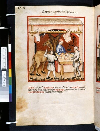 Theatrum sanitatis door Ububchasym de Baldach: 