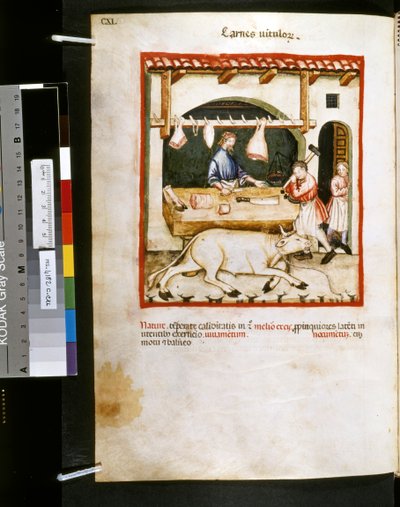 Theatrum sanitatis door Ububchasym de Baldach: 
