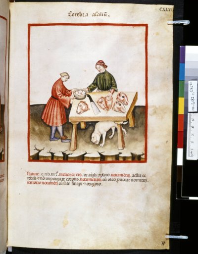 Theatrum sanitatis door Ububchasym de Baldach: 