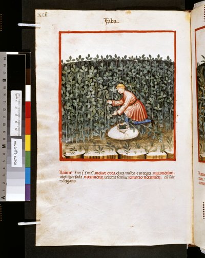 Theatrum sanitatis door Ububchasym de Baldach: 