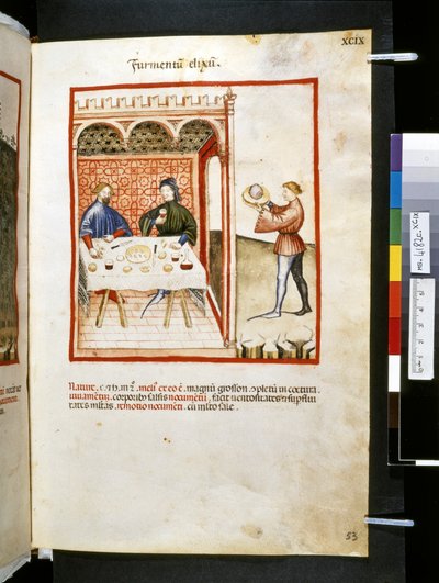 Theatrum sanitatis door Ububchasym de Baldach: 