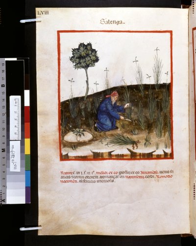 Theatrum sanitatis door Ububchasym de Baldach: 