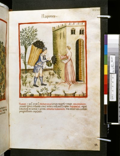 Theatrum sanitatis door Ububchasym de Baldach: 