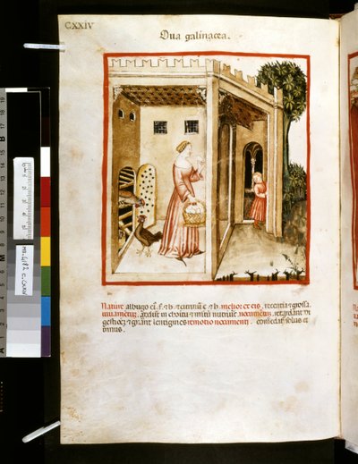 Theatrum sanitatis door Ububchasym de Baldach: 