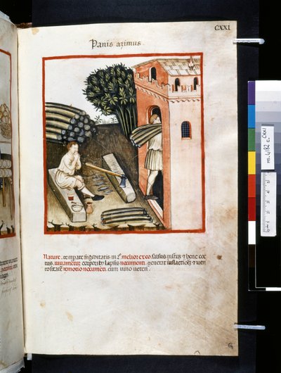 Theatrum sanitatis door Ububchasym de Baldach: 