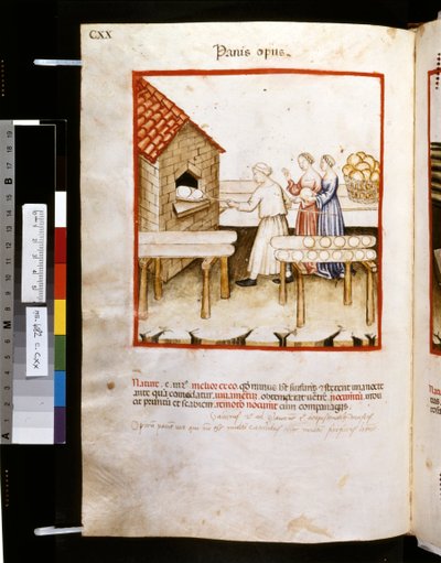 Theatrum sanitatis door Ububchasym de Baldach: 