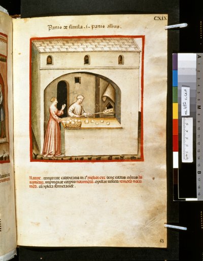 Theatrum sanitatis door Ububchasym de Baldach: 