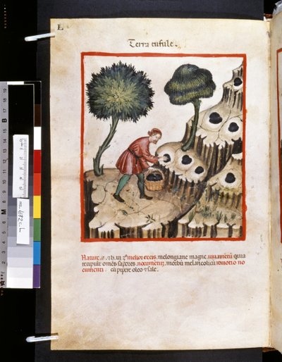 Theatrum sanitatis door Ububchasym de Baldach: 