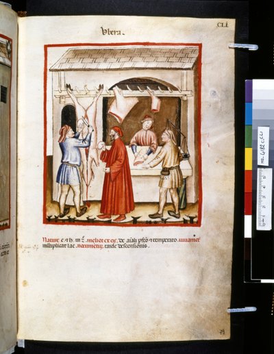 Theatrum sanitatis door Ububchasym de Baldach: 