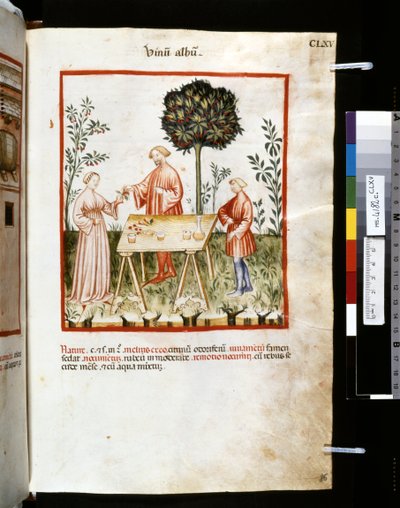 Theatrum sanitatis door Ububchasym de Baldach: 