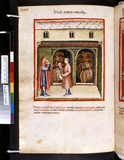 Theatrum sanitatis door Ububchasym de Baldach: 
