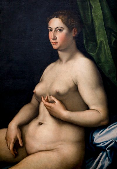 Portret van een vrouw door Girolam Siciolante