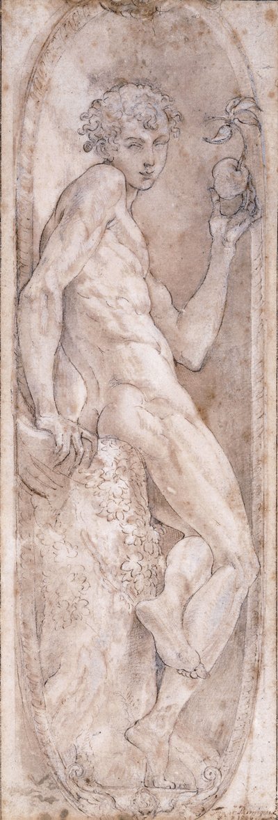 Adam met een appel, zittend, in een medaillon, ca. 1547-1553 door Girolamo Mazzola Bedoli