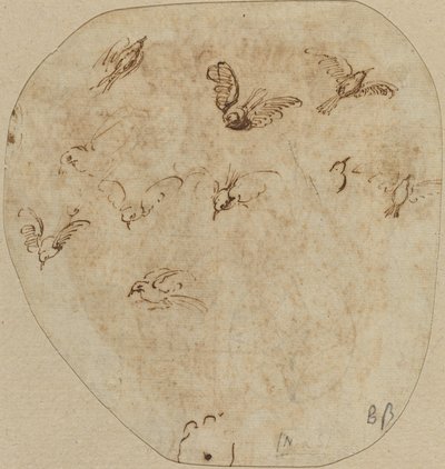 Vogels in vlucht [verso] door Girolamo Mazzola Bedoli