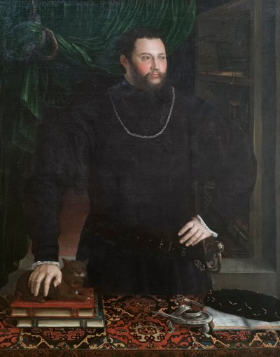 Portret van een heer door Girolamo da Carpi