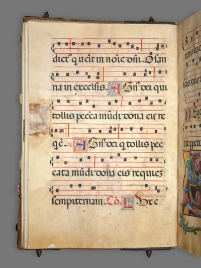 Geleidelijk door Girolamo dai Libri
