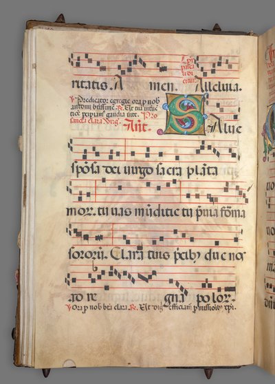 Geleidelijk door Girolamo dai Libri