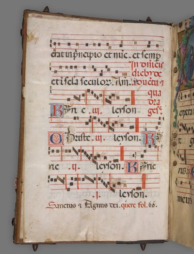 Geleidelijk door Girolamo dai Libri