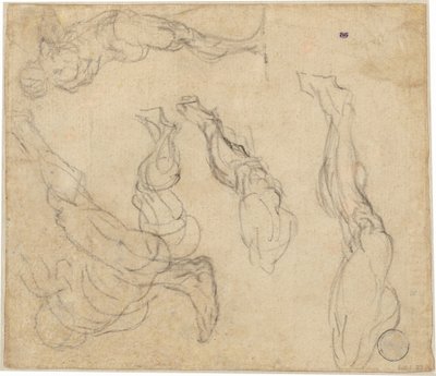 Hoofd van een jongen (verso) door Giulio Campagnola