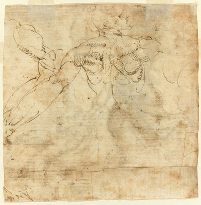 Studie van een Rug door Giulio Cesare Procaccini