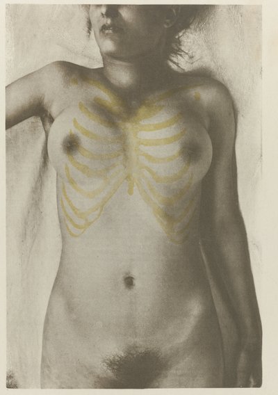 Anatomische foto van een vrouwelijk lijk: 