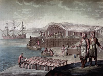 Kabeljauwvisserij door de inwoners van Newfoundland - in "Le costume ancien et moderne" door Ferrario, ed. Milaan door Giulio Ferrario