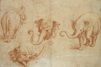 Vier studies van een olifant door Giulio Romano