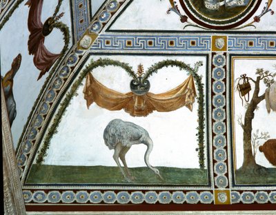 De Camera con Fregio di Amorini detail van een struisvogel (detail) door Giulio Romano