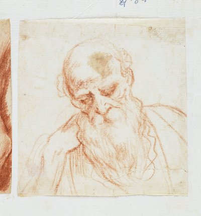 Hoofd van een Bebaarde Man die Naar Beneden Kijkt door Giuseppe Cesari