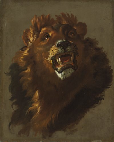 Leeuw door Giuseppe Baldrighi