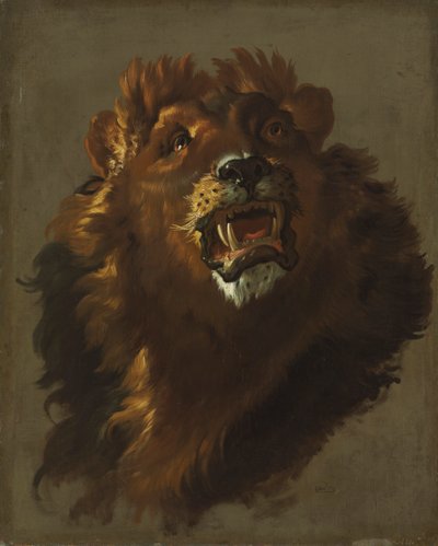 Leeuw door Giuseppe Baldrighi