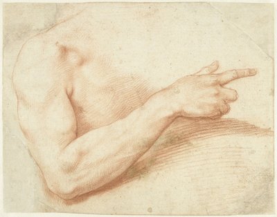 Studie van een arm door Giuseppe Cesari