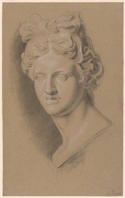 Academische studie van een gipsen buste van een klassieke vrouw door Giuseppe Longhi