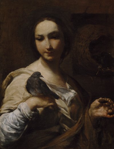 Meisje met een duif, 1721-27 door Giuseppe Maria Crespi