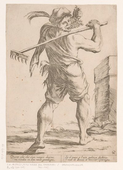 Druivenplukker door Giuseppe Maria Mitelli