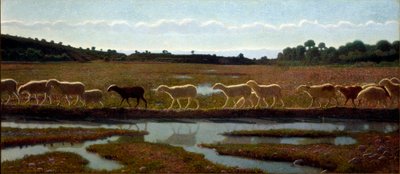De Spiegel van het Leven door Giuseppe Pellizza da Volpedo