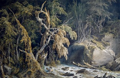 Rotsachtig landschap met ontwortelde bomen door Giuseppe Pietro Bagetti