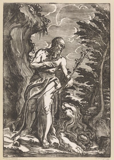 Heilige Hieronymus in de wildernis door Giuseppe Scolari