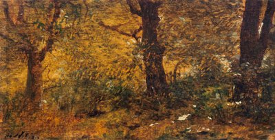 Studie van hout door Giuseppe or Joseph de Nittis