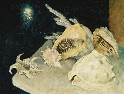 Schelpen door Glyn Warren Philpot