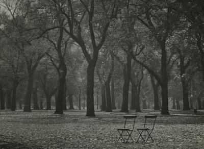 Herfstbomen in Hyde Park, Londen door Godfrey Macdominic