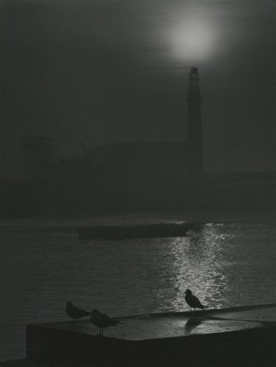 Meeuwensilhouetten bij schemering nabij de rivier de Theems door Godfrey Macdominic