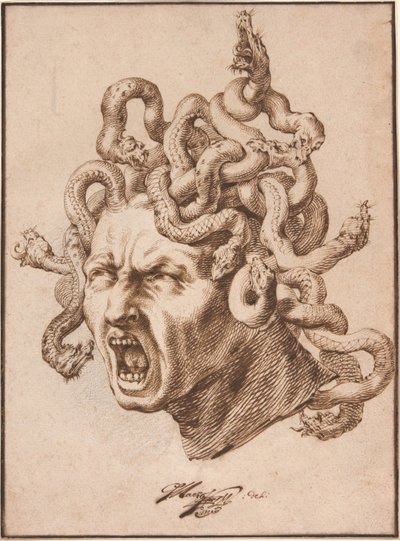 Hoofd van Medusa door Godfried Maes