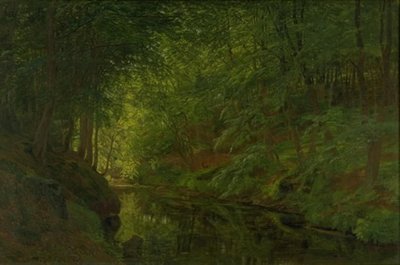 Een beek in Sæbygaard Bos, Vendsyssel, Jutland door Godtfred Rump