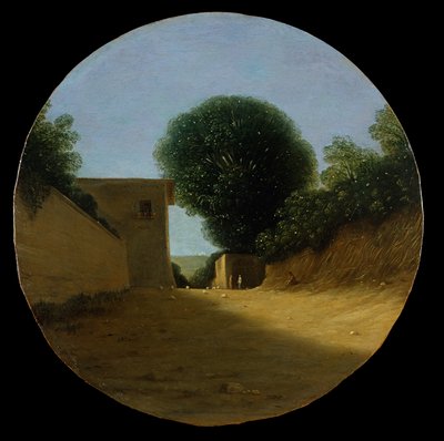 Landweg bij een huis door Goffredo Wals