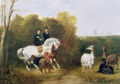 Koningin Victoria en Prins Albert bekijken de lama