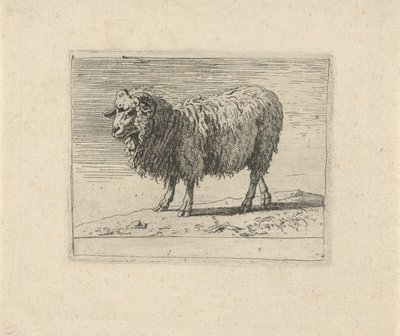 Ram door Govert van der Leeuw