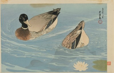 Eenden, Taisho periode, augustus 1920 (kleur houtsnede) door Goyo Hashiguchi